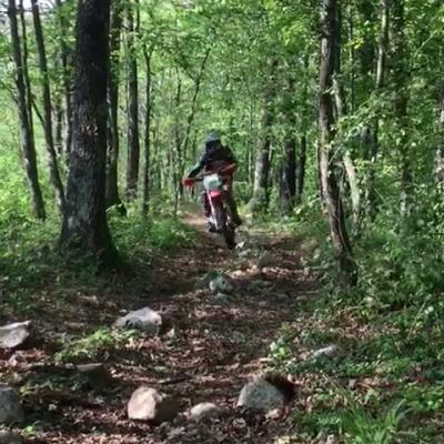 Vid 20170417 Wa0006 3567